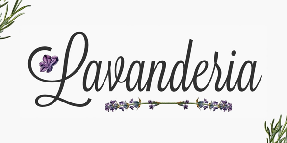 Lavanderia | Top Fonts to Use on Posters